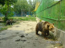 BILD0153