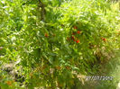 BILD0352