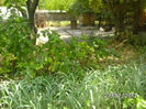BILD0353