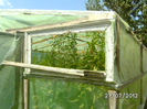 BILD0355