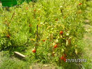 BILD0359