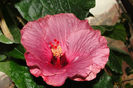 DSC08550