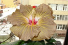 DSC08860