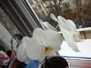 DSC05863