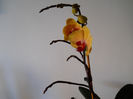 DSCN3510