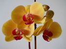 DSCN3517
