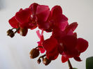 DSCN3528