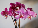DSCN3538
