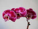 DSCN3539