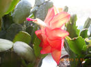 DSCN2809