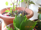 DSCN2813
