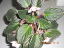 DSCN2804