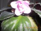 DSCN2805