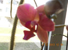 DSCN2817