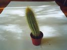 PIC_0057