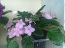 Imag024