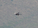 RSCN1557