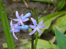 DSCN5544