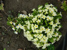 DSCN5562