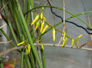 DSCN5578