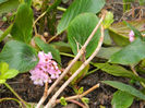 DSCN5581