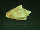 DSCF0727