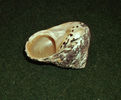 DSCF0735