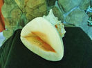 DSCF0755