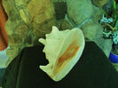DSCF0756