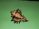 DSCF0770