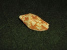 DSCF0782