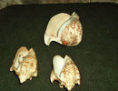 DSCF0803