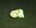 DSCF0825