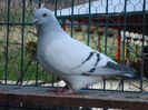 DSC02604