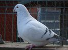 DSC02605