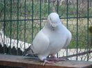 DSC02621