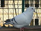 DSC02631