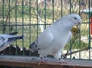 DSC02633