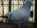DSC02640