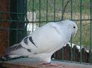 DSC02675