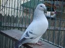DSC02688