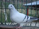DSC02690