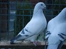 DSC02696