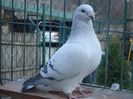 DSC02708