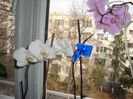 DSC06260