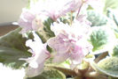 DSC00604