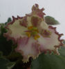 DSC00898
