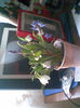 Imag005
