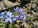 Fotogr.0226