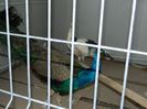 DSCN0791